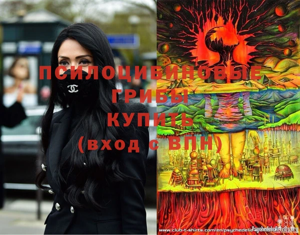 молекула духа Магас