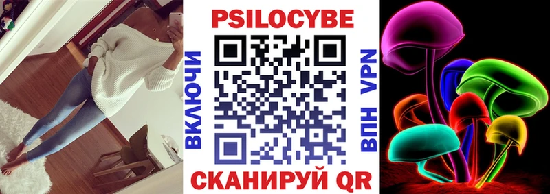закладки  Новочеркасск  shop состав  Галлюциногенные грибы Cubensis 