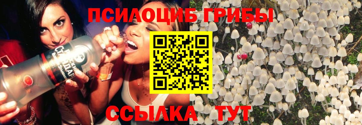 наркота  Вход с VPN  Новочеркасск  Галлюциногенные грибы GOLDEN TEACHER 